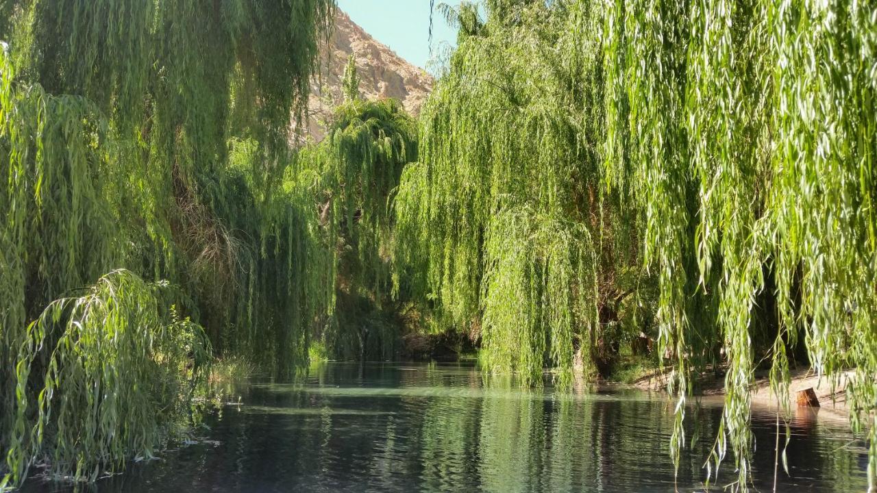 Aldea Del Valle - Elqui Villas, بيسكو إلكي المظهر الخارجي الصورة